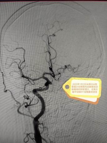 8db371f77349eff4750b3631717a0a2